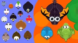MOPE BETA BIRDS CHALLENGE ONLY // NEW LAVA HOLE // OP LAND MONSTER TO BLACK DRAGON