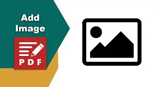 Как прикрепить изображение к PDF-документу в редакторе PDF-XChange