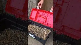 Vogelfutter 