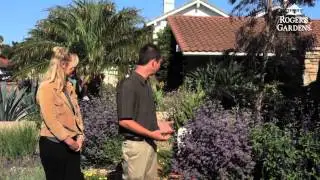 California Friendly Garden