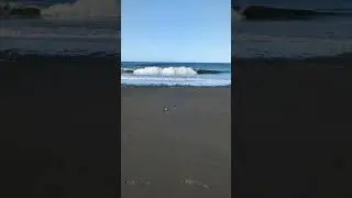 First Beach walking Quileute Oceanside Resort