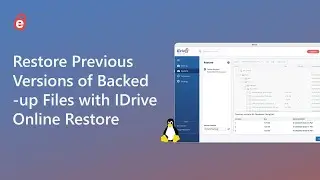 How to Restore Previous Versions of Backed-up Files/Folders | IDrive Online Restore