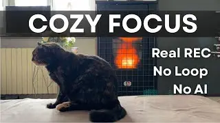 COZY FOCUS BROWN NOISE Cat Sleeping by PELLET STOVE | Real Sound &bull; No Loop