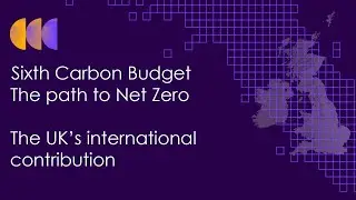 Event: The Path to Net Zero - The UK&rsquo;s international contribution
