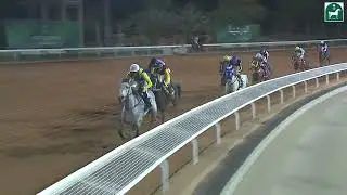 RIYADH RACING SEASON MEETING NO 66 RACE NO 8