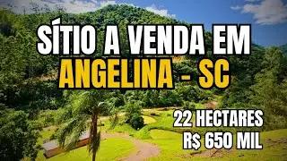 [VENDIDO] SÍTIO EM SANTA CATARINA, ANGELINA, CASA DE ALVENARIA, NASCENTES, RIACHO, PASTAGEM, AÇUDES.