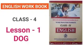 Class 4, lesson 1, dog, English work book, Question and answers 