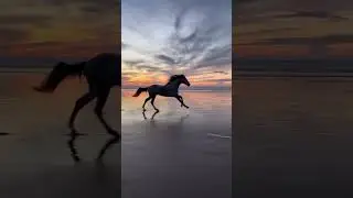 ✨ Мулай- Бузерктоун &mdash; это пляж на берегу Атлантического океана в Марокко.#Марокко 🇲🇦