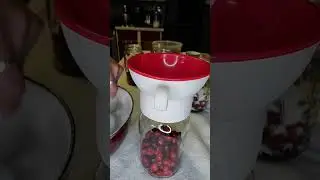 Making Cranberry Juice.  Easy!Previously live on another social media platform. 