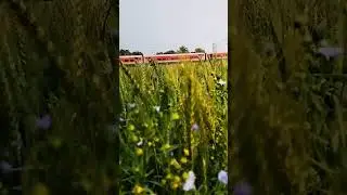 farming ❤️ #farming #farm #farmer #kheti #kisan #travel #trains #song #views #nature
