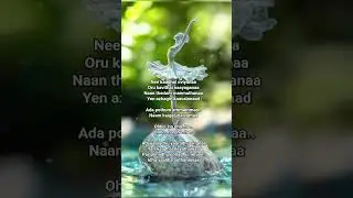 Wow creating journey with Sirpi music