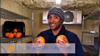 Aldelano Solar ColdBox & ColdCart | Off-Grid Cold Storage Solutions for Farmers & Businesses