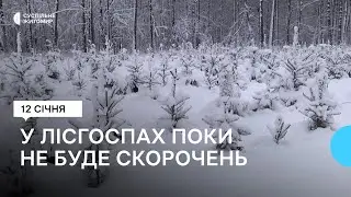 У лісгоспах під час реформи галузі не буде скорочень – керівник ДП «Ліси України» Ігор Лицур