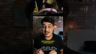 Um design BURRO da evolu&ccedil;&atilde;o!