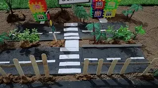 Mastering Traffic Rules: Essential Education for Kids 🚦|