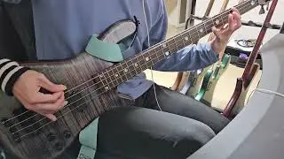 Pantera, 