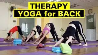 Back Care Yoga Therapy For Beginners | Yoga Trị Liệu | Yograja