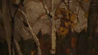 Now On View &ndash; Tom Thomson