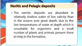 Deep Sea Deposits