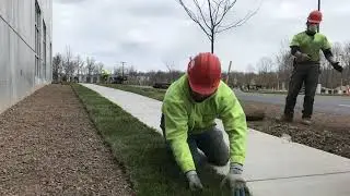 Sod Install Time Lapse (BIG PROJECT!!)