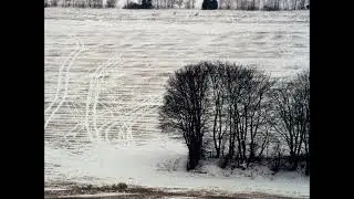 The Green Kingdom - Untitled(8)