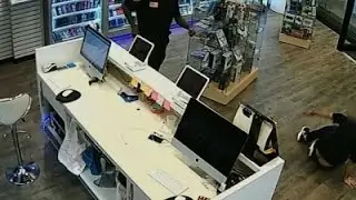 Surveillance Video of Minn. Mall Attack Released
