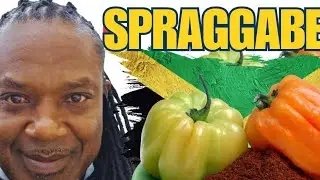 Spraggabenz Small Kitchen