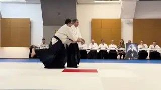 Kagami Biraki 2024 Aïkido Philippe Theis