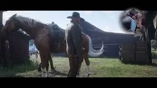 TAZMANE&lsquo;s Red Dead Redemption II: (F4F?)