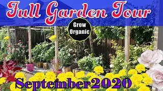 Full Garden Tour September 2020 | Fall Garden | Seed To Life