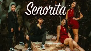 Flow Theory | Shawn Mendes, Camila Cabello - Se&ntilde;orita | Hax Choreography
