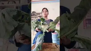 #cauliflower #viralvideo #cauliflower #leaf#winterspecial #winter #vegetable