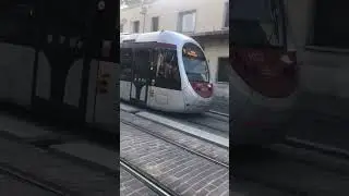 Tram in Florence #tram #travel #italy #transport #florence #firenze #rail #railway #railways #1000