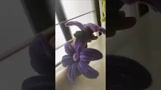 Handmade purple pipe cleaner flower crafted with love💜 #PipeCleanerArt #HandmadeCraft#CreativeShorts
