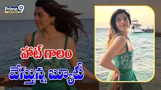 హాట్ గాలం వేస్తున్న బ్యూటీ | Acter Mehreen Hot Looks And Photos | Prime9 Entertainment