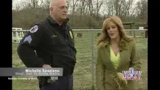 16 K-9 Unit Yankee Girl TV