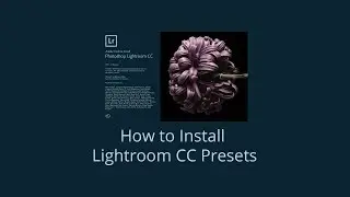 How to Install and Delete Adobe Lighroom CC Presets