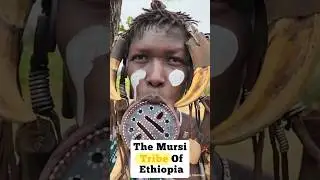 Did you know the Mursi Tribe 😲? #culturalidentity #ethnicheritage  #shortvedio #discoveryshorts