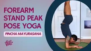 Forearm Stand Peak Pose Yoga (Pincha Mayurasana) | 10 Minutes