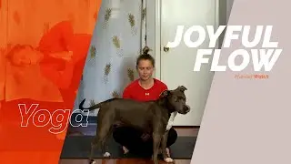 Joyful Yoga Flow | Yoga with Marissa