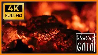 🔥💓 [4K] Sonido de las ASCUAS para DORMIR ▶ RELAJANTE Sonido de FUEGO ♨🔥 [8 HORAS]