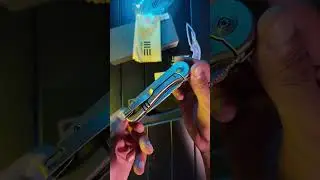 PRODUCT OVERVIEW ( ASMR ) : WE KNIFE   Elementum Gray Titanium Handle CPM 20CV