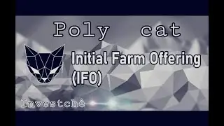 Polycat chegando na fase de IFO juros compostos na Matic Polygon