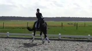 Femke de Laat - Dark Pleasure (KWPN hengst), Kür op maat - dressage freestyle