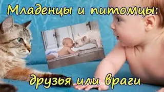 ПИТОМЦЫ и МЛАДЕНЦЫ ДРУЗЬЯ или ВРАГИ  BABIES and PETS FRIENDS or ENEMIES