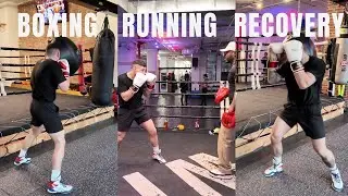 MMA fighter | Boxing | Running | Recovery
