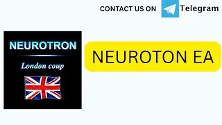 Neuroton EA | V1.3 | MT4 EA