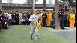 Shaolin Da Hong Quan by Grandmaster Shi Deyang | Traditional Kung Fu at the Shaolin Temple