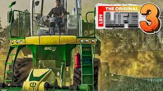 LS19 Life 3 #074 - Riesige GRASFL&Auml;CHEN abzuarbeiten, Viel zu tun -  M4cM4nus Farming Simulator