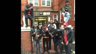Pop Cannon My Team